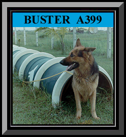 Buster Framed